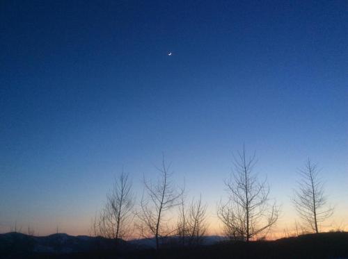 52093994_2082386138548492_4020253551295987712_n